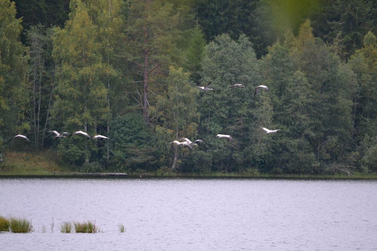 Villa Leppaekerttu Enonkoski Exteriér fotografie